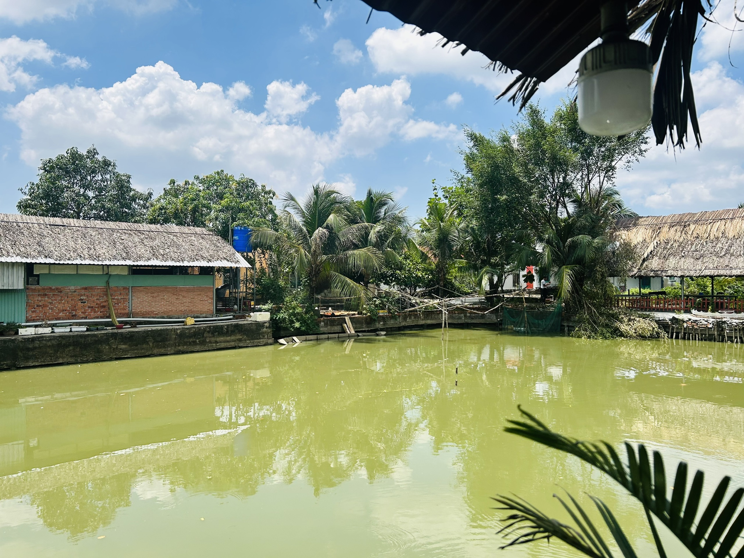 hồ câu cá tại Ao Sen Quán